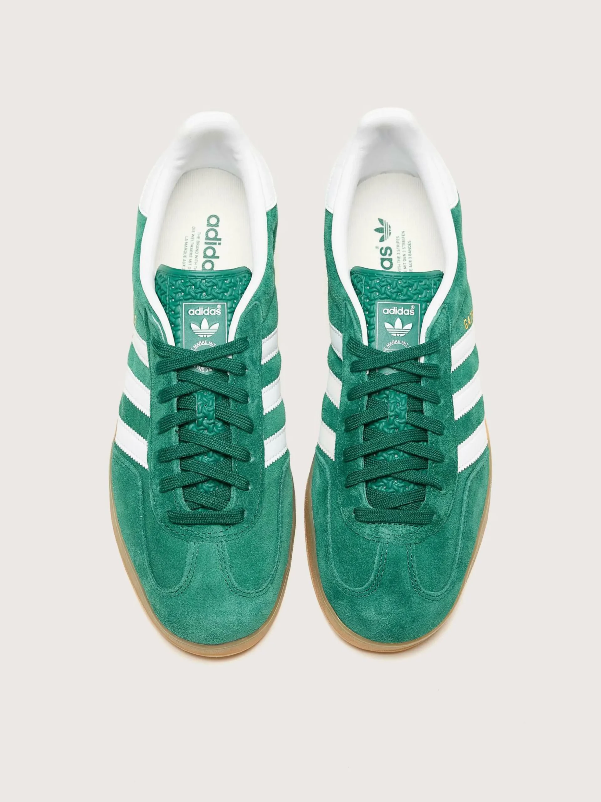 ADIDAS Gazelle Indoor Pour Hommes